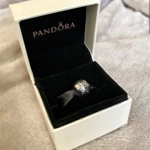 Pandora Snowflake Charms